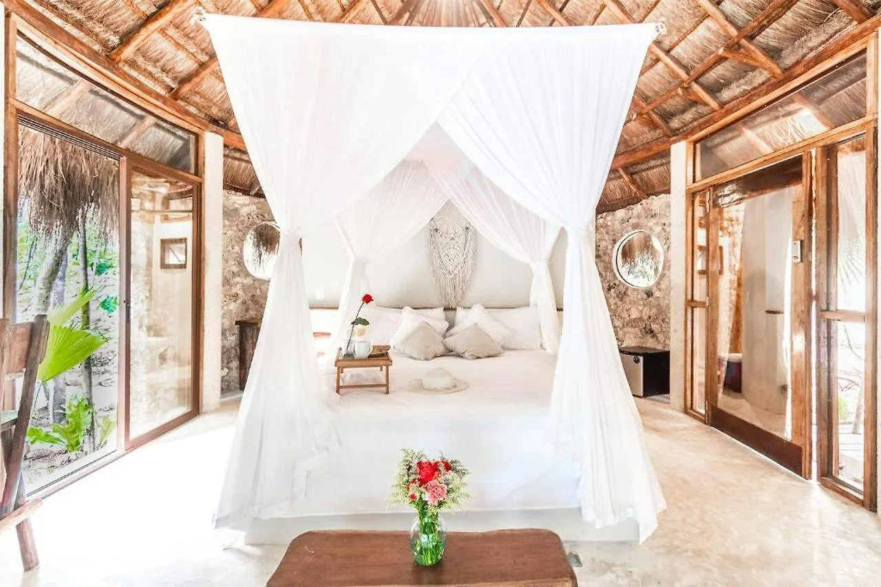 Pepem Eco - Luxury Hotel Tulum Adults Only contacts